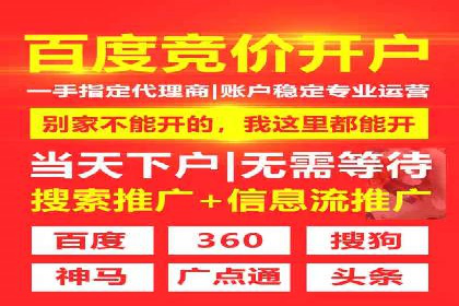 SEM竞价员实战案例分析：数据驱动决策